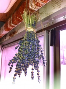 Van Lavender Enticing the senses in a band van